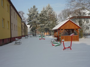 zimni1